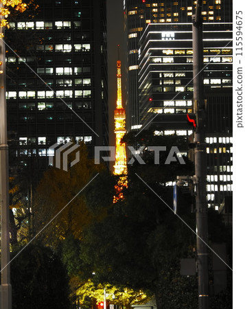 千代田區的夜晚 千代田區的夜晚 115594675