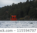 Torii at Lake Ashinoko 115594707