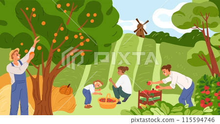Farmers at harvest. Gardeners pluck fruits from trees. People pick strawberries from beds. Kids tomatoes are put in boxes. Agriculture workers growing vegetables. Garish vector concept 115594746