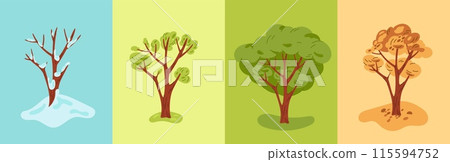 Four seasons tree. Nature change. Cartoon plant in autumn and spring. Winter snowy branches. Summer foliage. Natural buds and leaves. Fall wilting. Seasonal weather. Garish vector concept 115594752