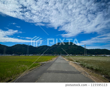 Peaceful countryside scenery, Takefu, Fukui Prefecture Peaceful countryside scenery, Takefu, Fukui Prefecture 115595113
