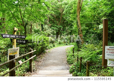 座間市縣立座間屋富山公園新鮮綠道及路線 座間市縣立座間屋富山公園新鮮綠道及路線 115595145