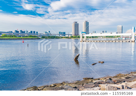(東京)從台場海濱公園看到的水上巴士總站和彩虹橋 (東京)從台場海濱公園看到的水上巴士總站和彩虹橋 115595169