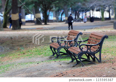 Park bench Park bench 115595387