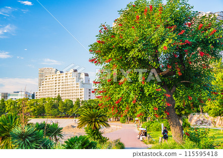 (Tokyo) Odaiba Seaside Park: Tropical-looking Odaiba Beach 115595418