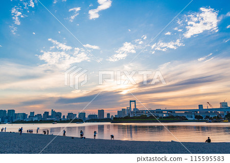 （東京）台場海濱公園 - 人們在台場海灘玩耍 115595583