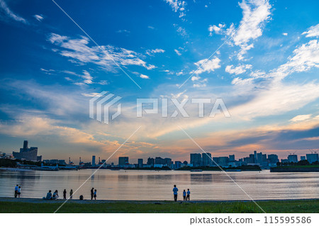 (Tokyo) Odaiba Seaside Park, People playing on Odaiba Beach 115595586