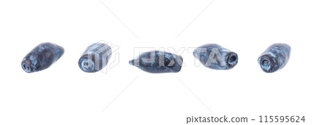 Honeysuckle isolated on white background. Fresh honeysuckle blue berry fruits. Clipping path. 115595624