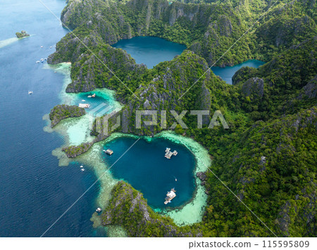 Lagoons and Barracuda Lake with splendid limestone rock formation. Coron, Palawan. Philippines. Lagoons and Barracuda Lake with splendid limestone rock formation. Coron, Palawan. Philippines. 115595809