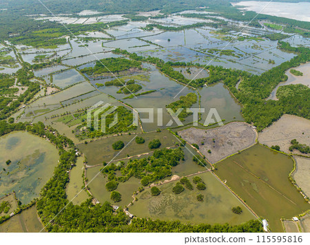 Tropical landscape: Fish Farm in Countryside. Mindanao, Philippines. Tropical landscape: Fish Farm in Countryside. Mindanao, Philippines. 115595816