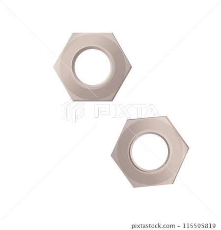 Illustration of a nut. On a white isolated background Illustration of a nut. On a white isolated background 115595819
