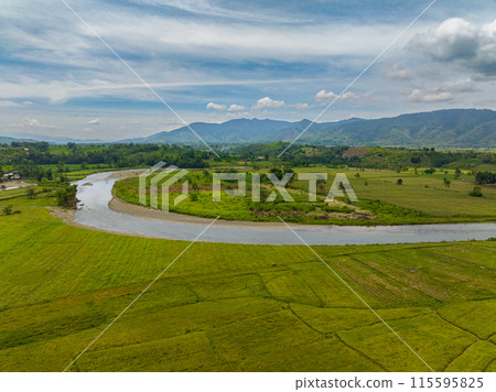Aerial view of paddy farmlands and river on countryside. Mindanao, Philippines. 115595825