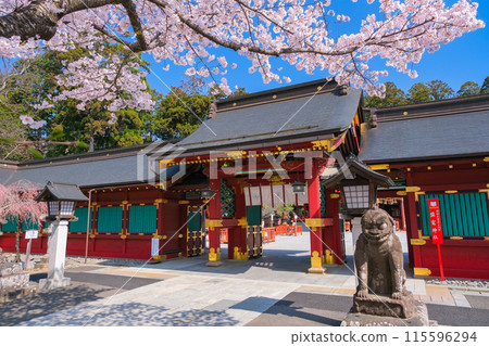 Shiogama Shrine Karamon Gate in Spring, Shiogama City, Miyagi Prefecture 115596294