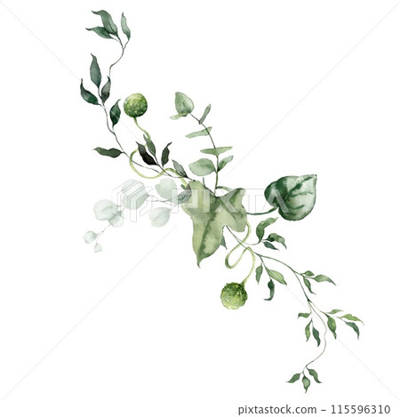 Watercolor floral card featuring eucalyptus, grass, herbs and bedstraw. Hand-drawn poster of a plant bouquet on a white background. An outdoor illustration for design, printing or fabric background. Watercolor floral card featuring eucalyptus, grass, herbs and bedstraw. Hand-drawn poster of a plant bouquet on a white background. An outdoor illustration for design, printing or fabric background. 115596310