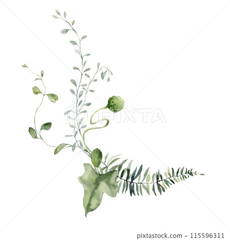 Watercolor floral card featuring herbs, grass, bedstraw and ferns. Hand-drawn poster of a plant bouquet on a white background. An outdoor illustration for design, printing or fabric background. Watercolor floral card featuring herbs, grass, bedstraw and ferns. Hand-drawn poster of a plant bouquet on a white background. An outdoor illustration for design, printing or fabric background. 115596311