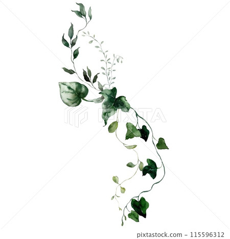Watercolor floral card featuring bedstraw, ferns, grass and herbs. Hand-drawn poster of a plant bouquet on a white background. An outdoor illustration for design, printing or fabric background. Watercolor floral card featuring bedstraw, ferns, grass and herbs. Hand-drawn poster of a plant bouquet on a white background. An outdoor illustration for design, printing or fabric background. 115596312