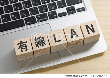 其上寫著有線 LAN 的積木 115596434