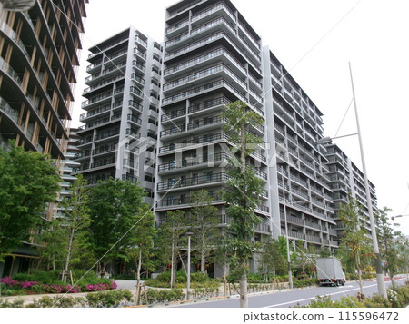 Road through a residential area 115596472