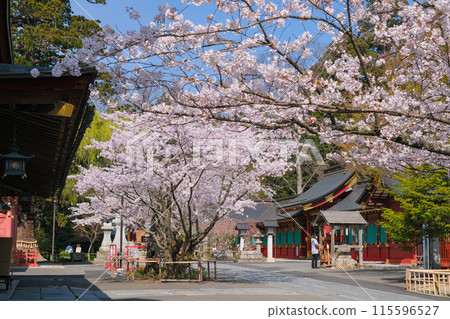 宮城縣鹽灶市春鹽灶神社境內 115596527
