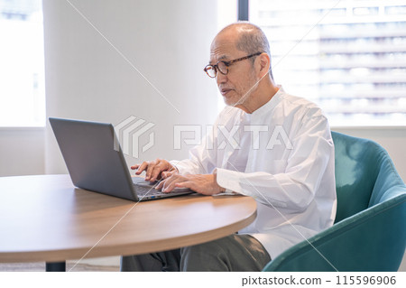 Active seniors working on a computer 115596906