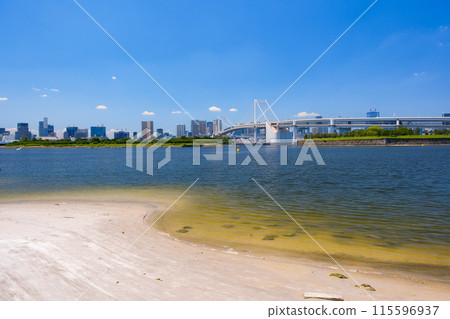 東京台場海濱公園台場海灘 東京台場海濱公園台場海灘 115596937