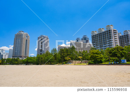東京台場海濱公園台場海灘 東京台場海濱公園台場海灘 115596938