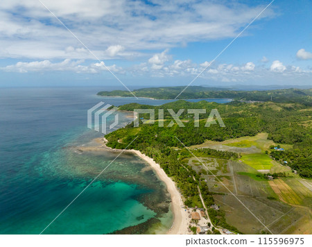 Turquoise sea water in white sand beach. Paddy rice fields in Santa Fe, Tablas, Romblon. Philippines. Turquoise sea water in white sand beach. Paddy rice fields in Santa Fe, Tablas, Romblon. Philippines. 115596975