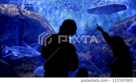 A family is looking at fish in an oceanarium A family is looking at fish in an oceanarium 115597005