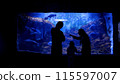 A family is looking at fish in an oceanarium 115597007