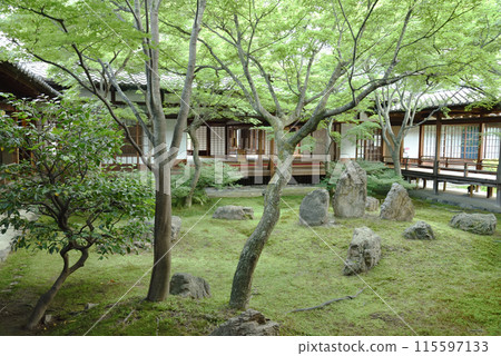 The Green Tide Garden: Kenninji Temple Hojo Garden The Green Tide Garden: Kenninji Temple Hojo Garden 115597133