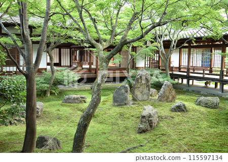 The Green Tide Garden: Kenninji Temple Hojo Garden The Green Tide Garden: Kenninji Temple Hojo Garden 115597134