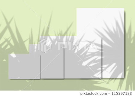 Several horizontal and vertical sheets of white textured paper against a green wall background. Natural light casts shadows from a branch of tree. Mockup 115597188