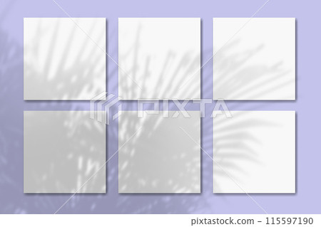 Natural light casts shadows from the tropic plant on 6 square sheets of white textured paper lying on a violet textured background. Mockup 115597190