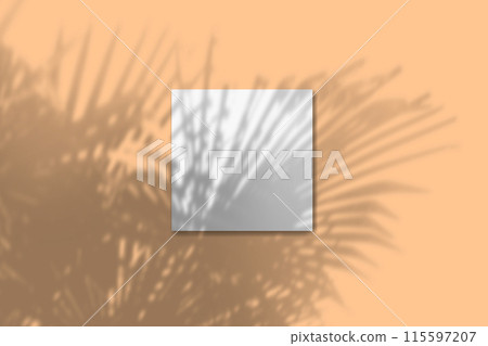 Natural light casts shadows from the tropical tree one square sheets of white textured paper lying on an orange textured background. Mockup Natural light casts shadows from the tropical tree one square sheets of white textured paper lying on an orange textured background. Mockup 115597207