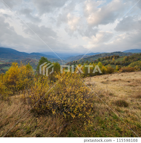 Cloudy and foggy day autumn mountains scene. Peaceful picturesque traveling, seasonal, nature and countryside beauty concept scene. Carpathian Mountains, Ukraine. Cloudy and foggy day autumn mountains scene. Peaceful picturesque traveling, seasonal, nature and countryside beauty concept scene. Carpathian Mountains, Ukraine. 115598108