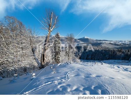 Winter Gorgany massiv mountains scenery view from Yablunytsia pass, Carpathians, Ukraine. 115598120