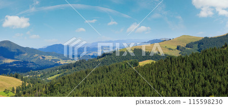 Summer Carpathian mountain (Ukraine). Summer Carpathian mountain (Ukraine). 115598230