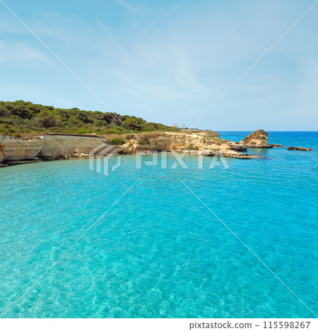 Sea beach Spiaggia della Punticeddha, Salento, Italy 115598267