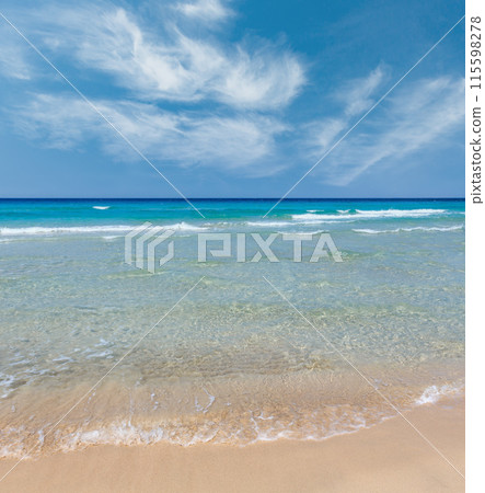 Sea surf on beach. 115598278