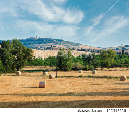 Tuscany countryside, Montepulciano, Italy 115598336