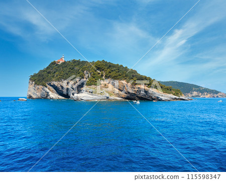 Tino island, La Spezia, Italy 115598347