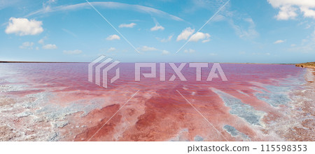 Pink salty Syvash Lake, Ukraine Pink salty Syvash Lake, Ukraine 115598353