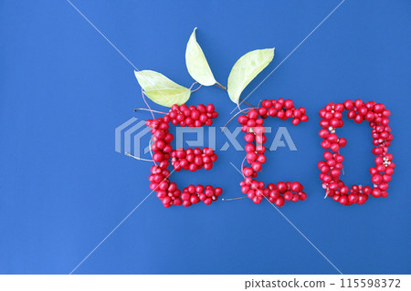Word Eco from red ripe berries of schisandra. Protect the environment. Word Eco from red ripe berries of schisandra. Protect the environment. 115598372