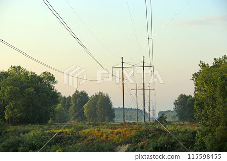 Electrical net of poles on a panorama of blue sky and green meadow Electrical net of poles on a panorama of blue sky and green meadow 115598455