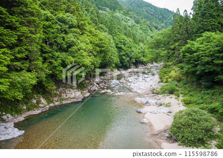 綠樹環繞的山間溪流【岐阜縣板取川】 115598786