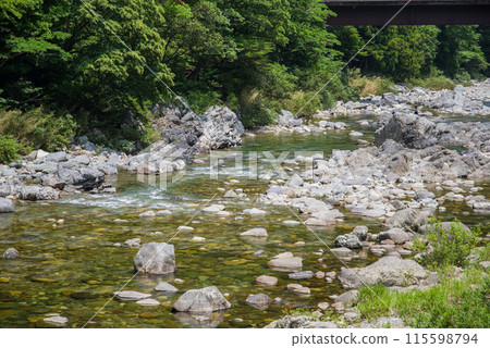 A mountain stream surrounded by greenery [Itadori River, Gifu Prefecture] 115598794