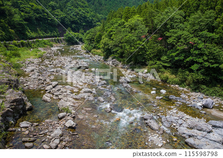 A mountain stream surrounded by greenery [Itadori River, Gifu Prefecture] 115598798