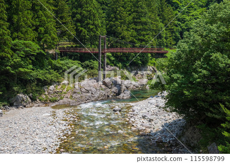 A mountain stream surrounded by greenery [Itadori River, Gifu Prefecture] 115598799