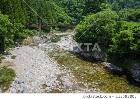 綠樹環繞的山間溪流【岐阜縣板取川】 115598803