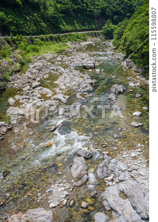 A mountain stream surrounded by greenery [Itadori River, Gifu Prefecture] 115598807